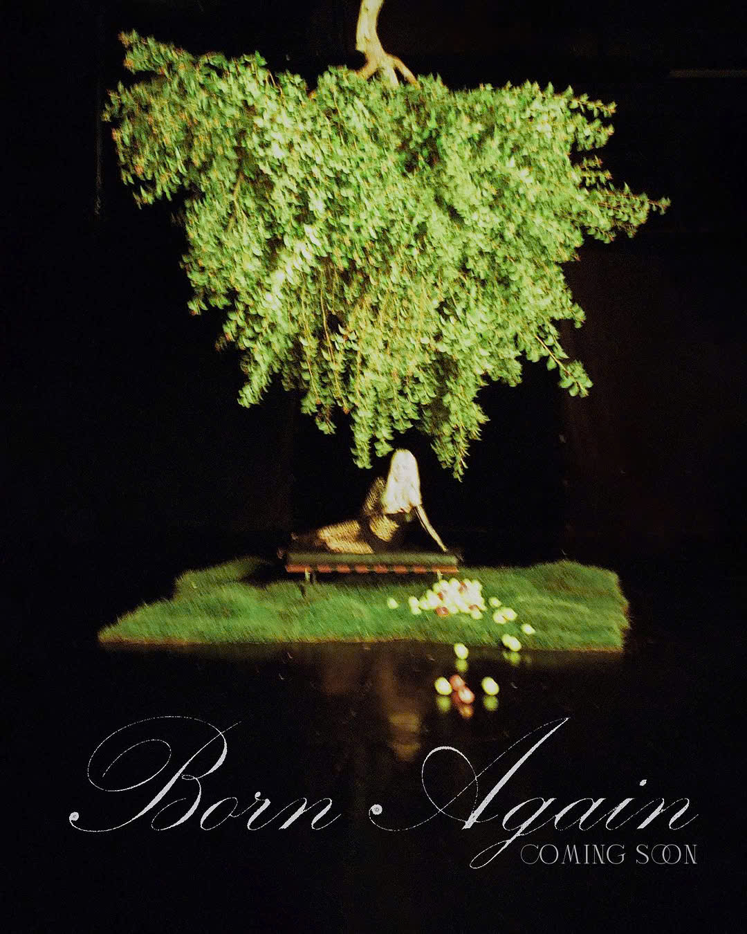 “Born Again”: Lisa (BLACKPINK) hé lộ concept mới, Doja Cat và Raye là ẩn số đầy bí ẩn