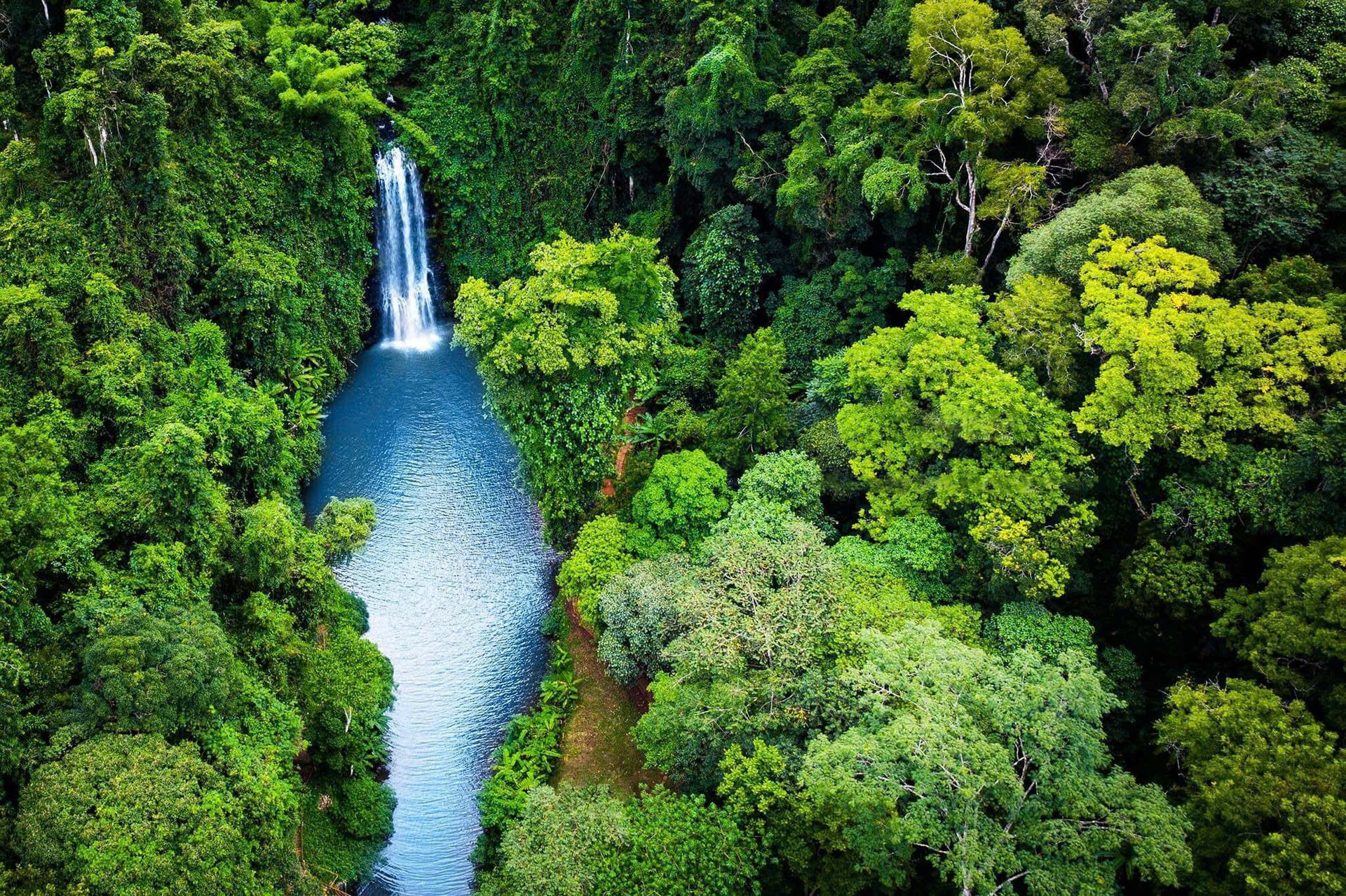 Du lịch Măng Đen: Khám phá vẻ đẹp thơ mộng và bí ẩn của Tây Nguyên