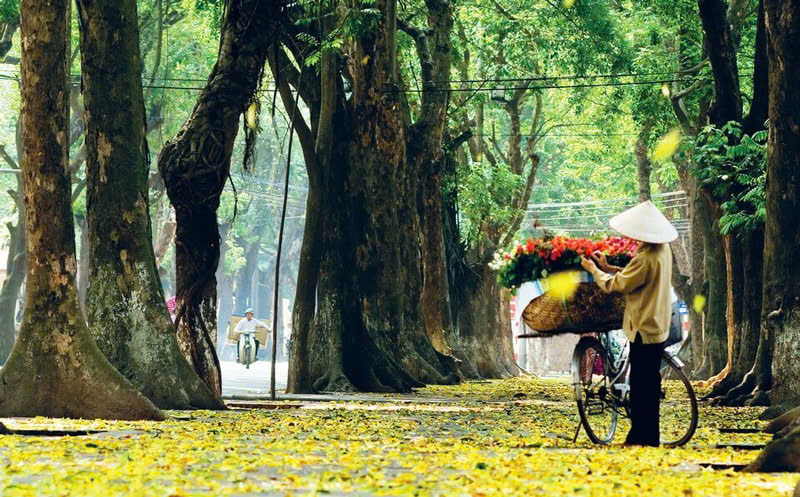 Hà Nội mùa thu – Những điều đặc biệt làm rung động lòng người