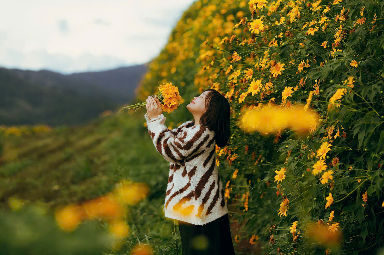 Du lịch Đà Lạt tháng 10: Hành trình tìm về với thiên nhiên