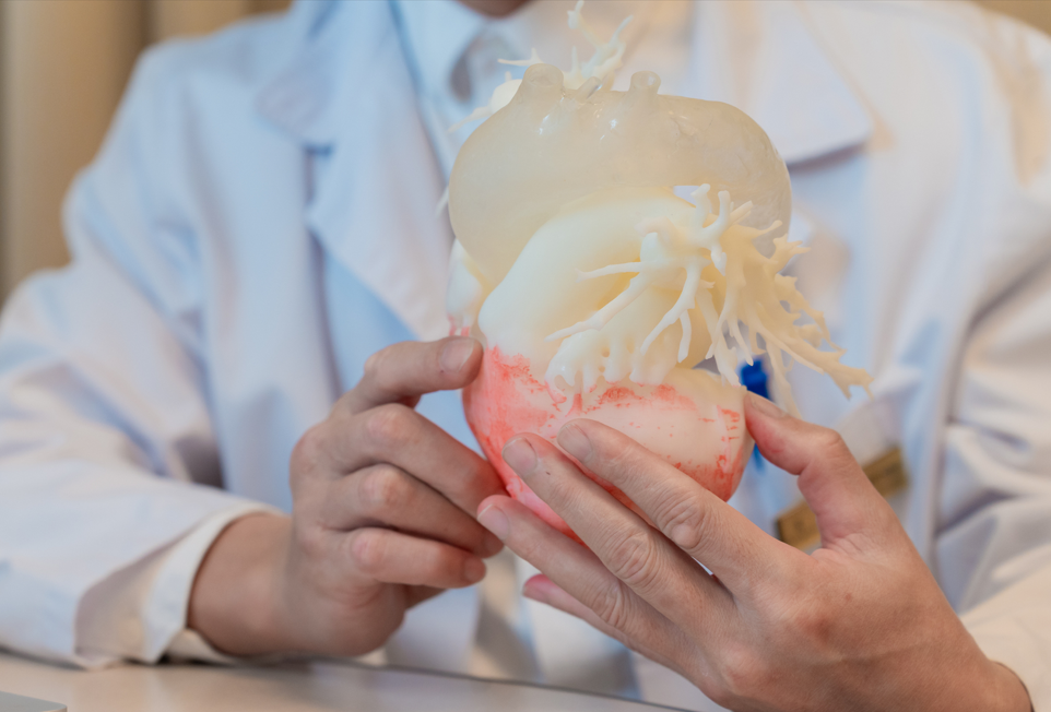 Vinmec chinh phục ca TAVI phức tạp nhờ công nghệ in 3D cá thể hóa: Bước tiến mới của tim mạch can thiệp