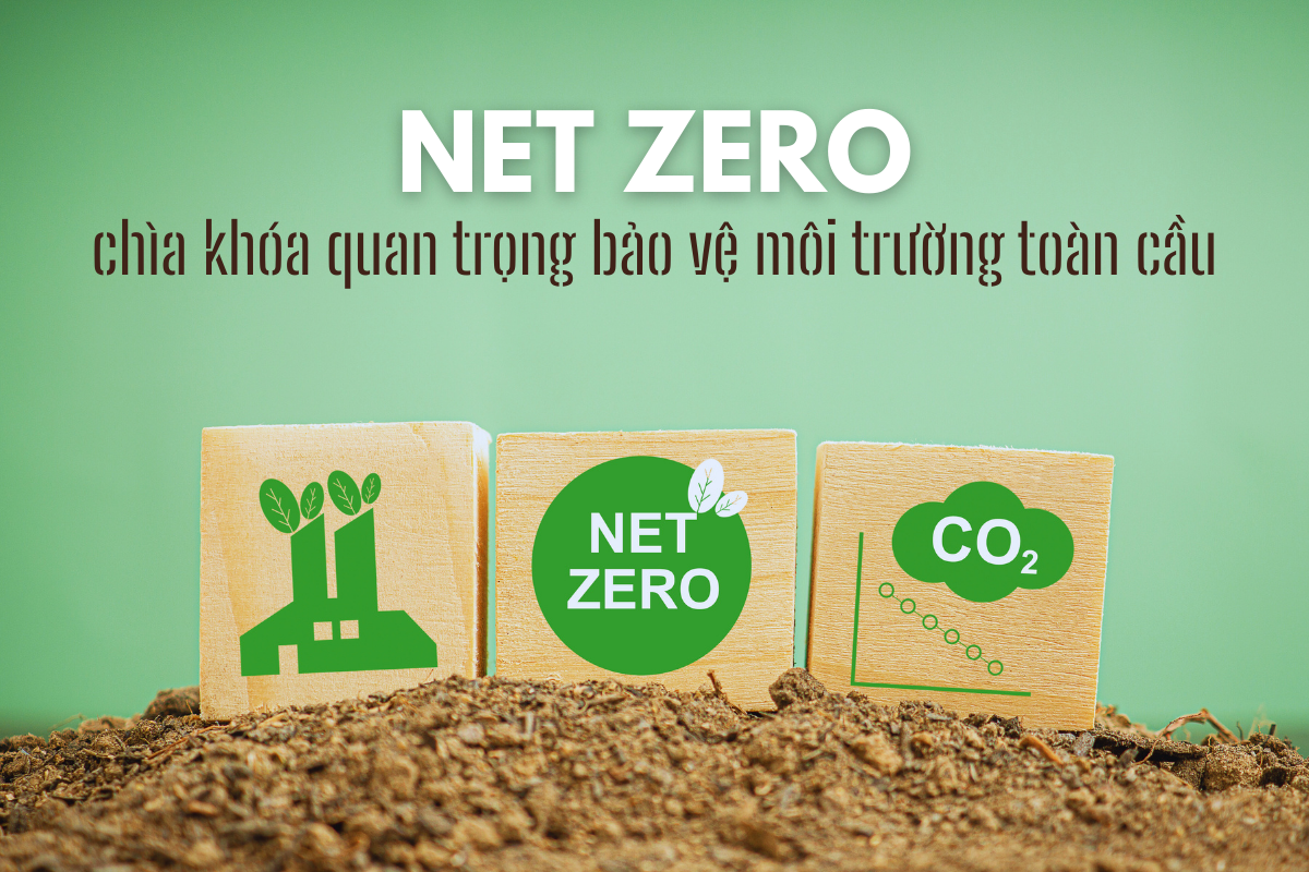 Net Zero là gì? Vì sao là chìa khóa quan trọng bảo vệ môi trường toàn cầu?