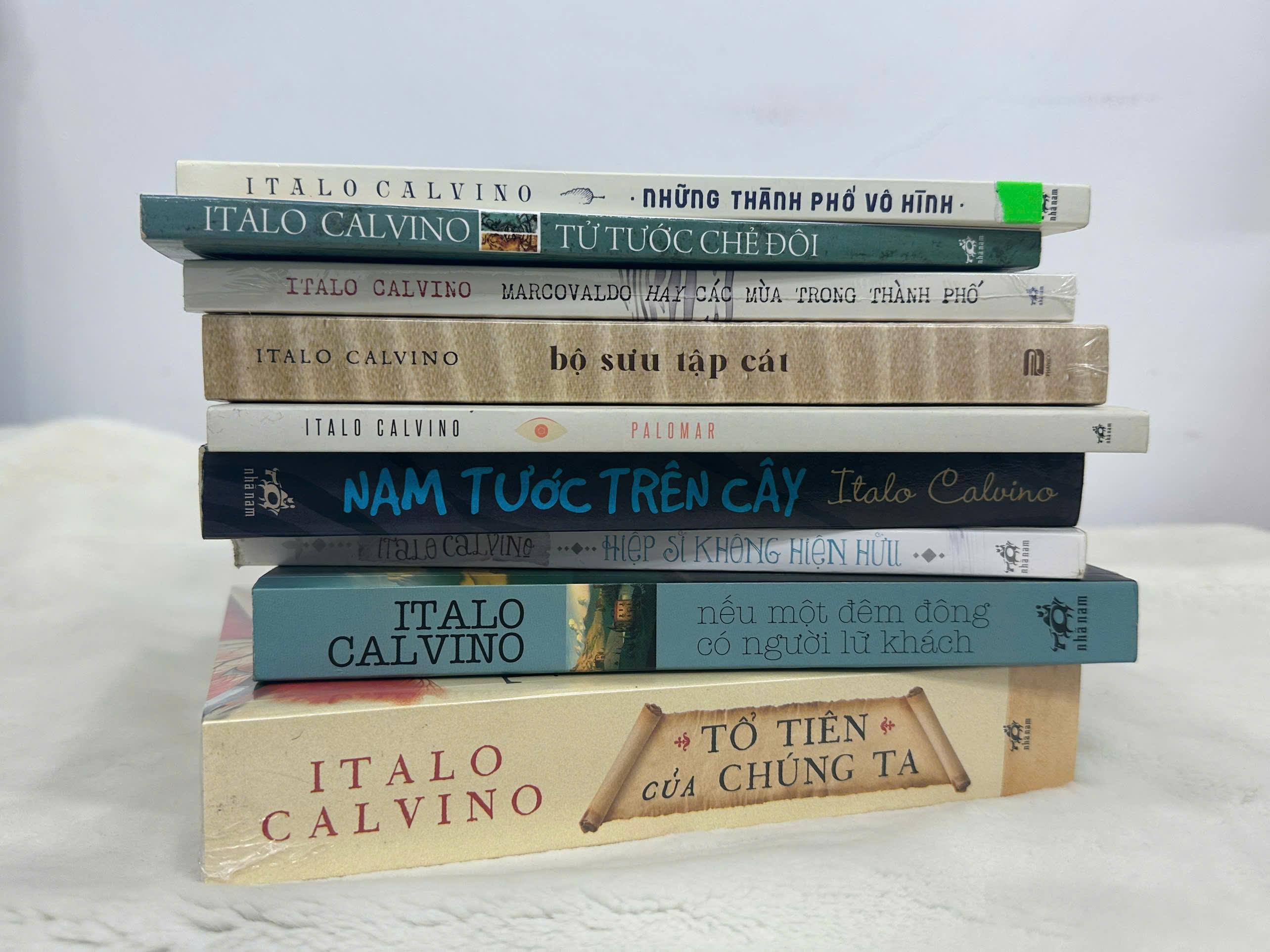 Nếu một đêm đông có người lữ khách