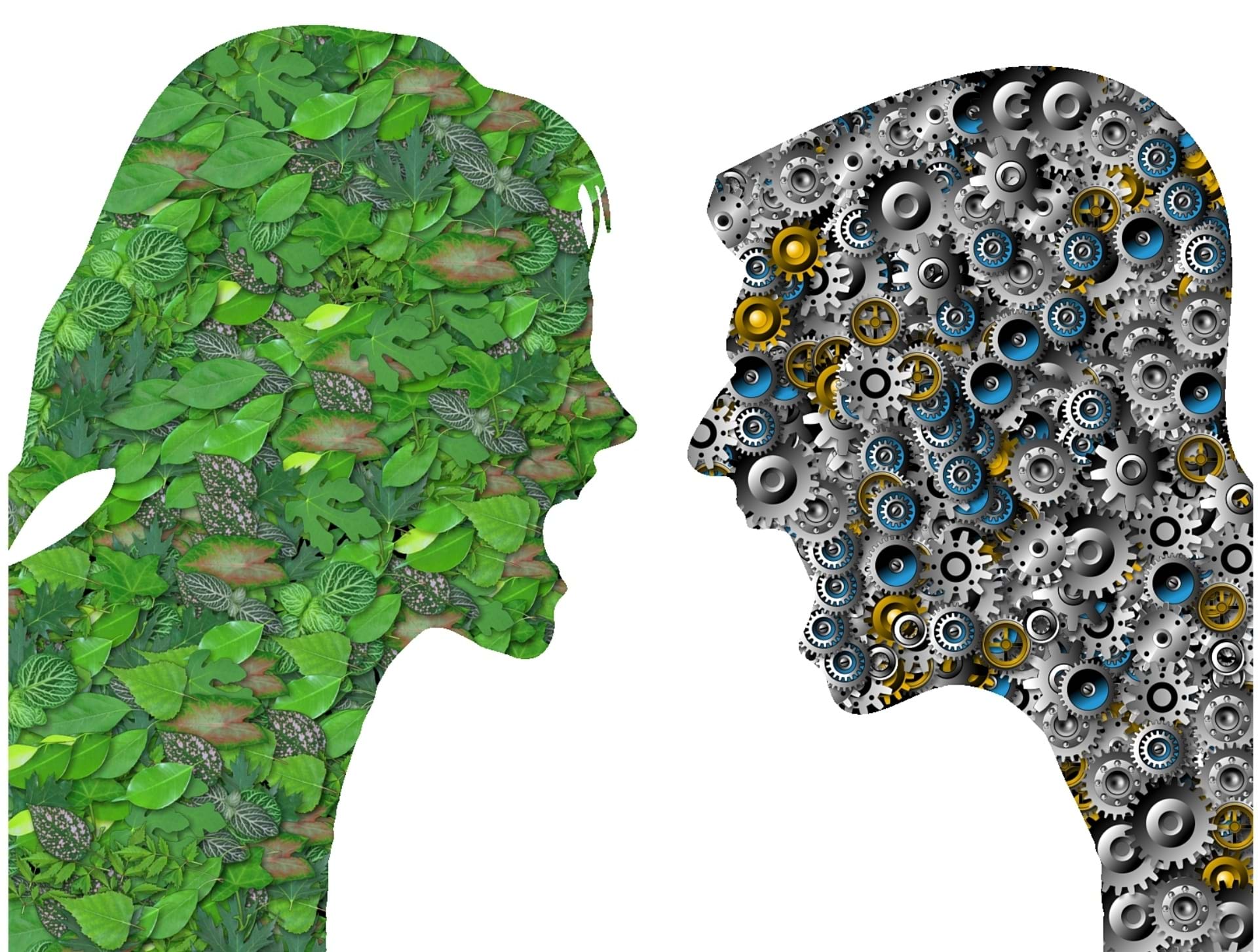 Môi trường và Con người: Mối liên hệ không thể tách rời