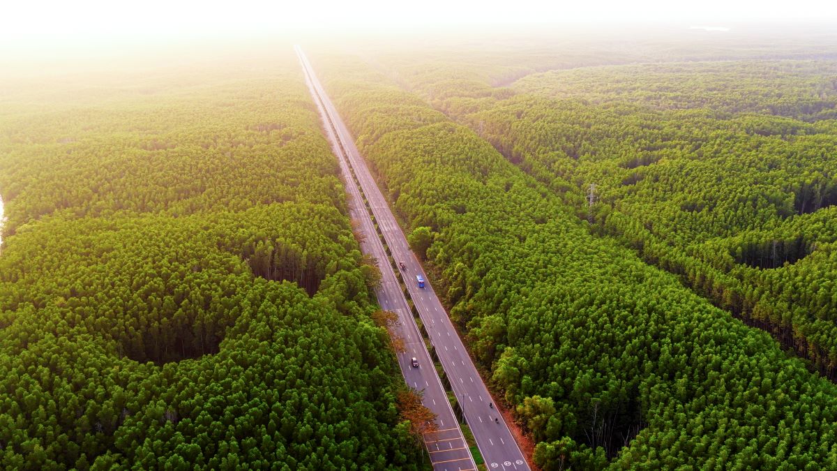 Khám phá cung đường chạy đẹp nhất Việt Nam: băng rừng di sản, xuyên ‘kỳ quan đô thị biển’ tại Cần Giờ