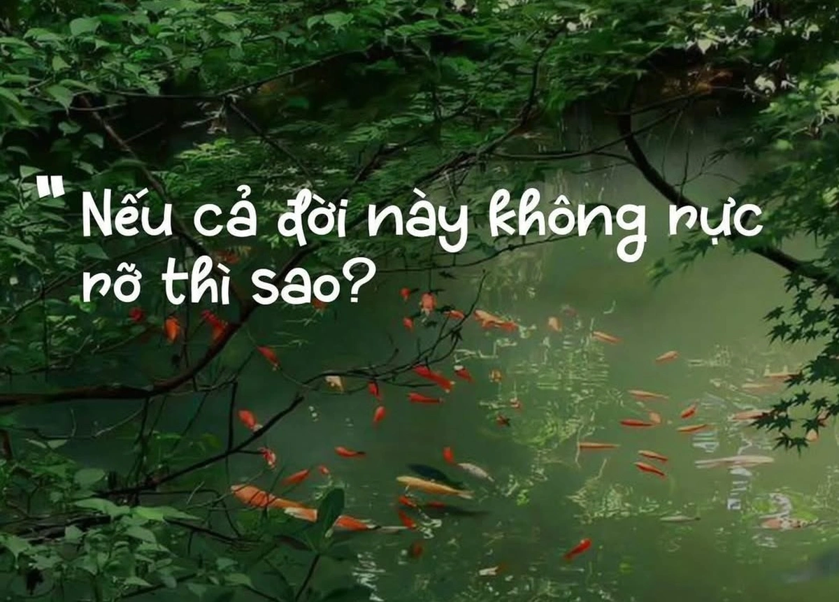 Khi tuổi trẻ chưa kịp rực rỡ