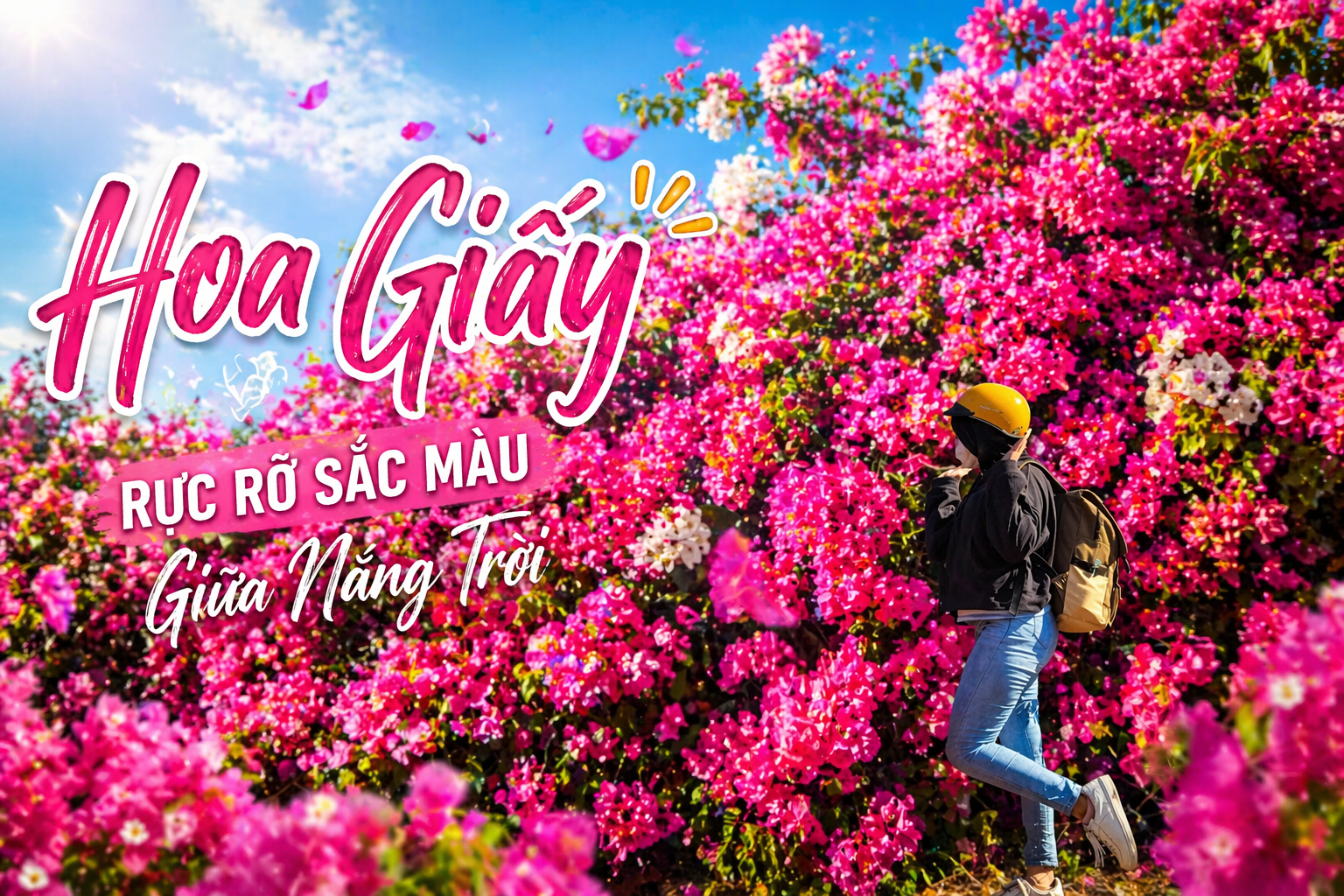 Hoa giấy: Vẻ đẹp giản dị làm lay lòng người
