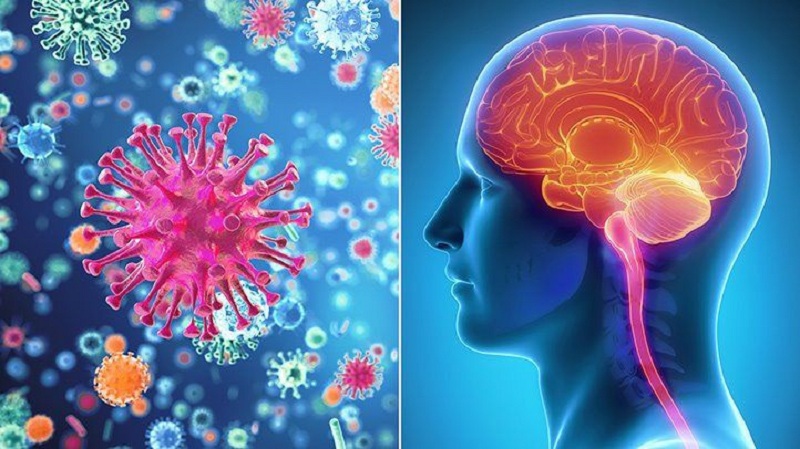 Đừng nhầm sốt nhẹ là cảm: Có thể là viêm màng não mô cầu