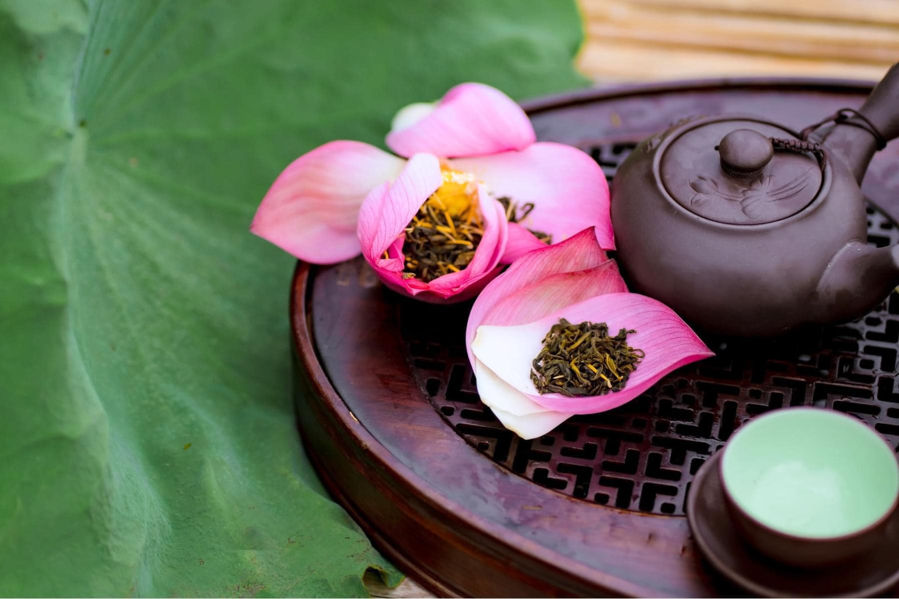 Hồn sen Việt trên dải đất hình chữ S