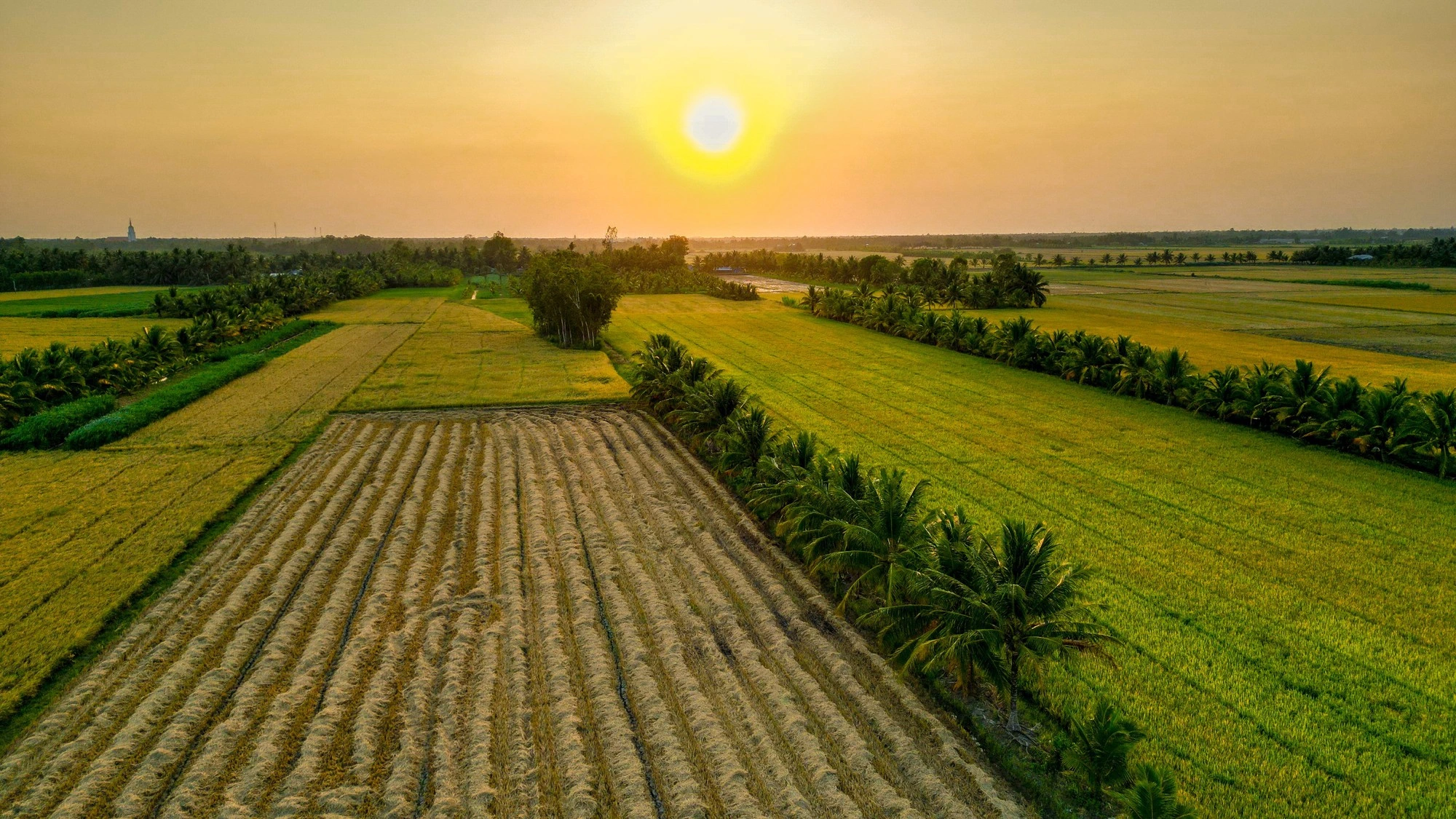 Nơi mùa hè chưa từng rời đi