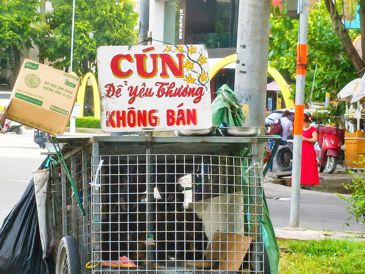 Người bạn nhỏ, thành viên lớn trong mỗi gia đình