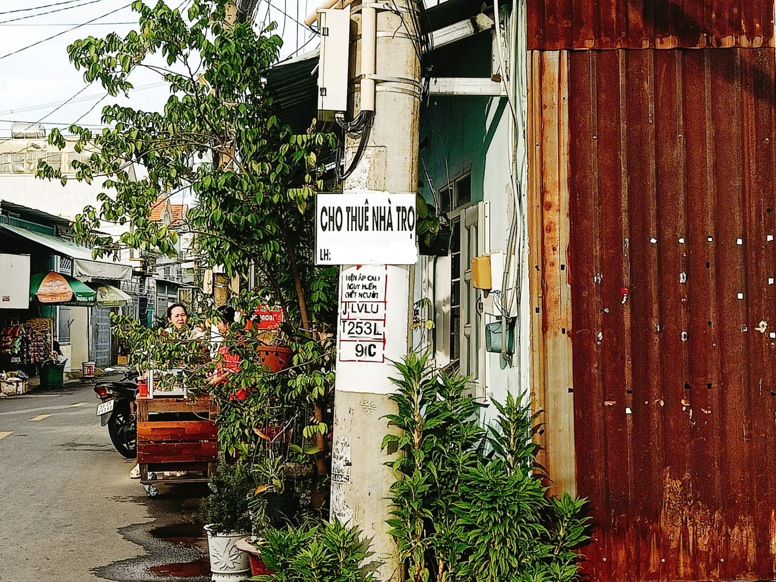 Tân sinh viên chật vật tìm phòng trọ mùa khai trường