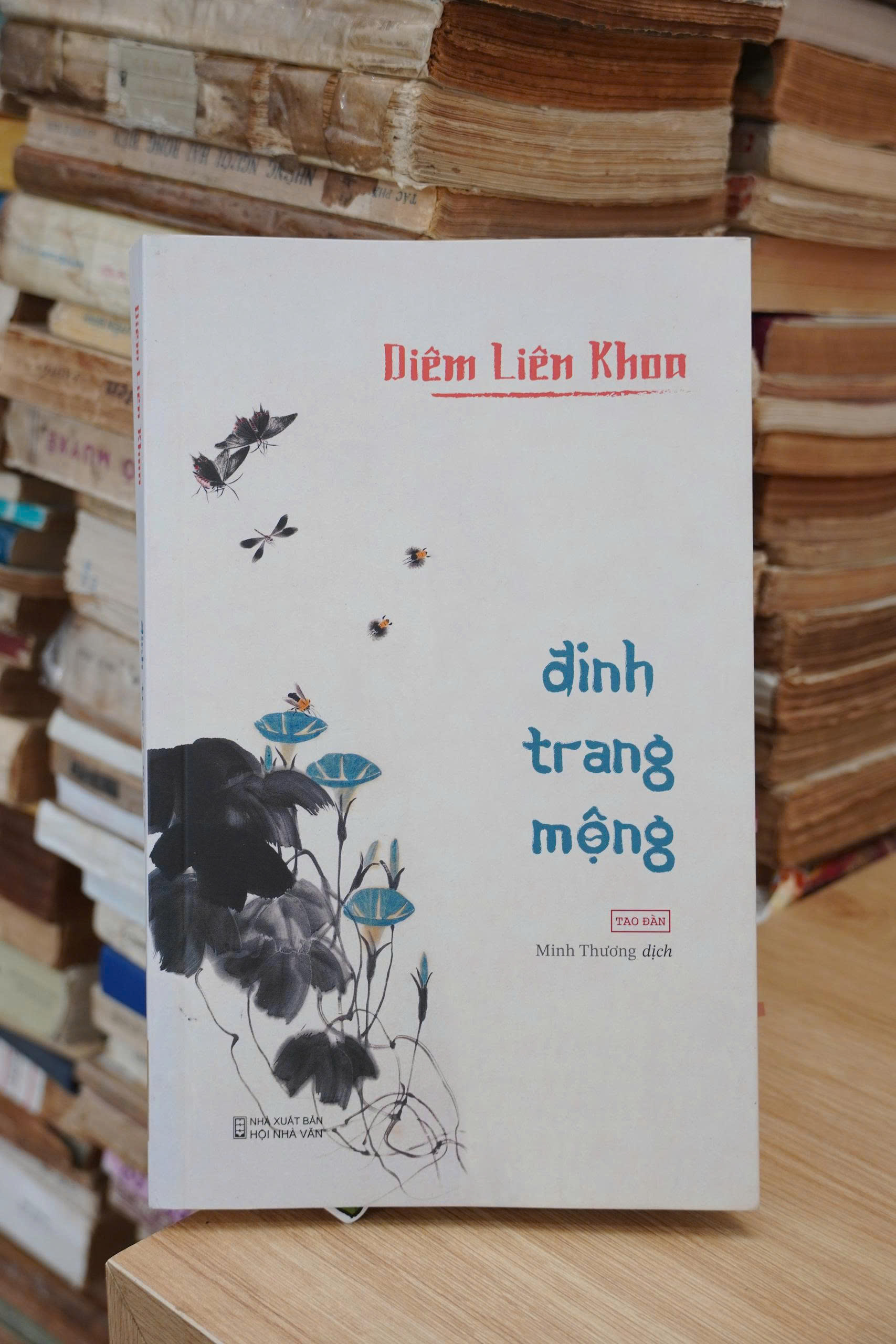Đinh Trang Mộng