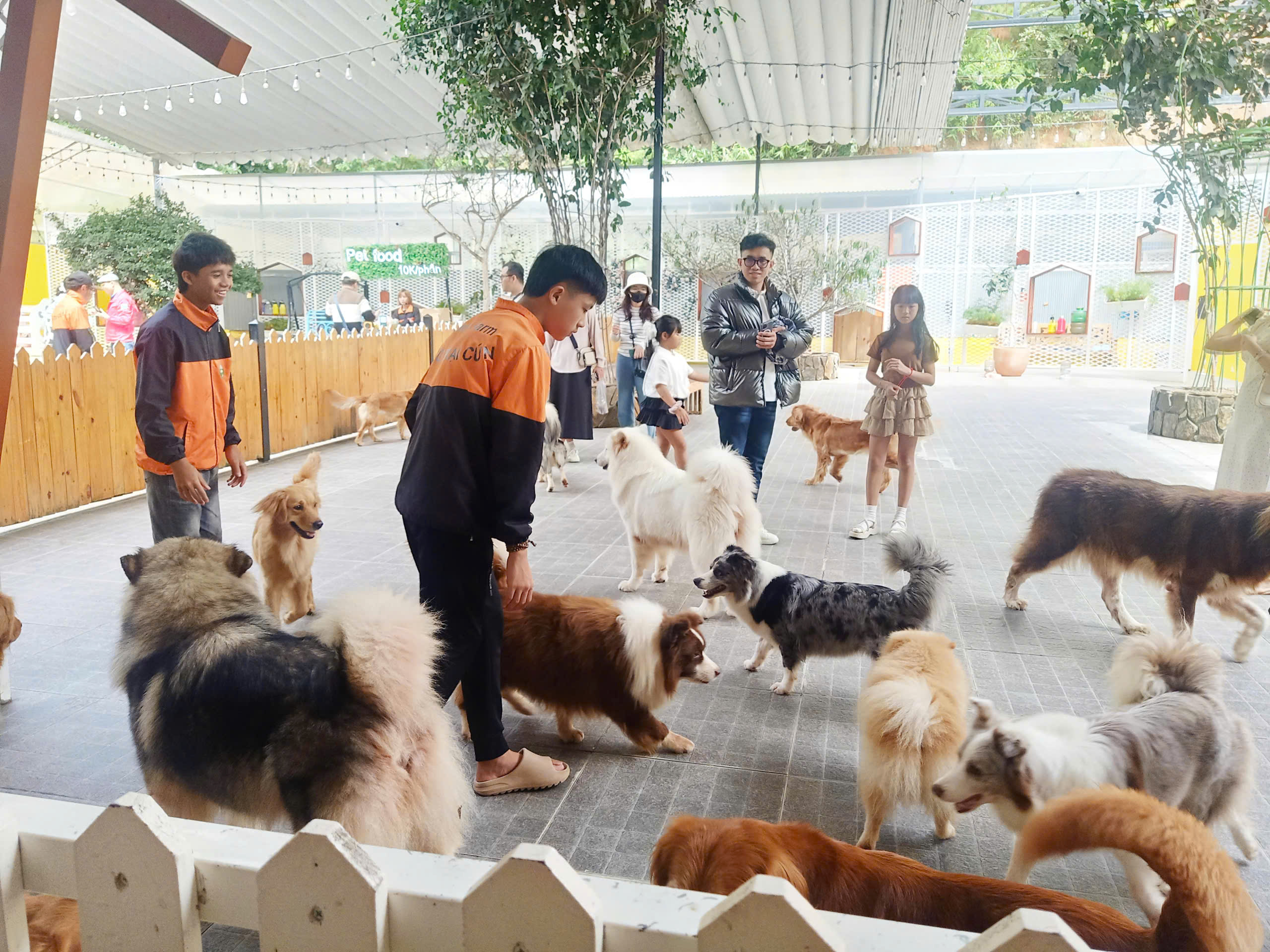 Cà phê thú cưng – góc nhỏ bình yên cho tâm hồn