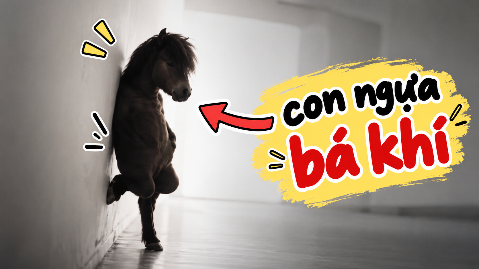'Bá khí' là gì mà cộng đồng mạng nhắc tên liên tục