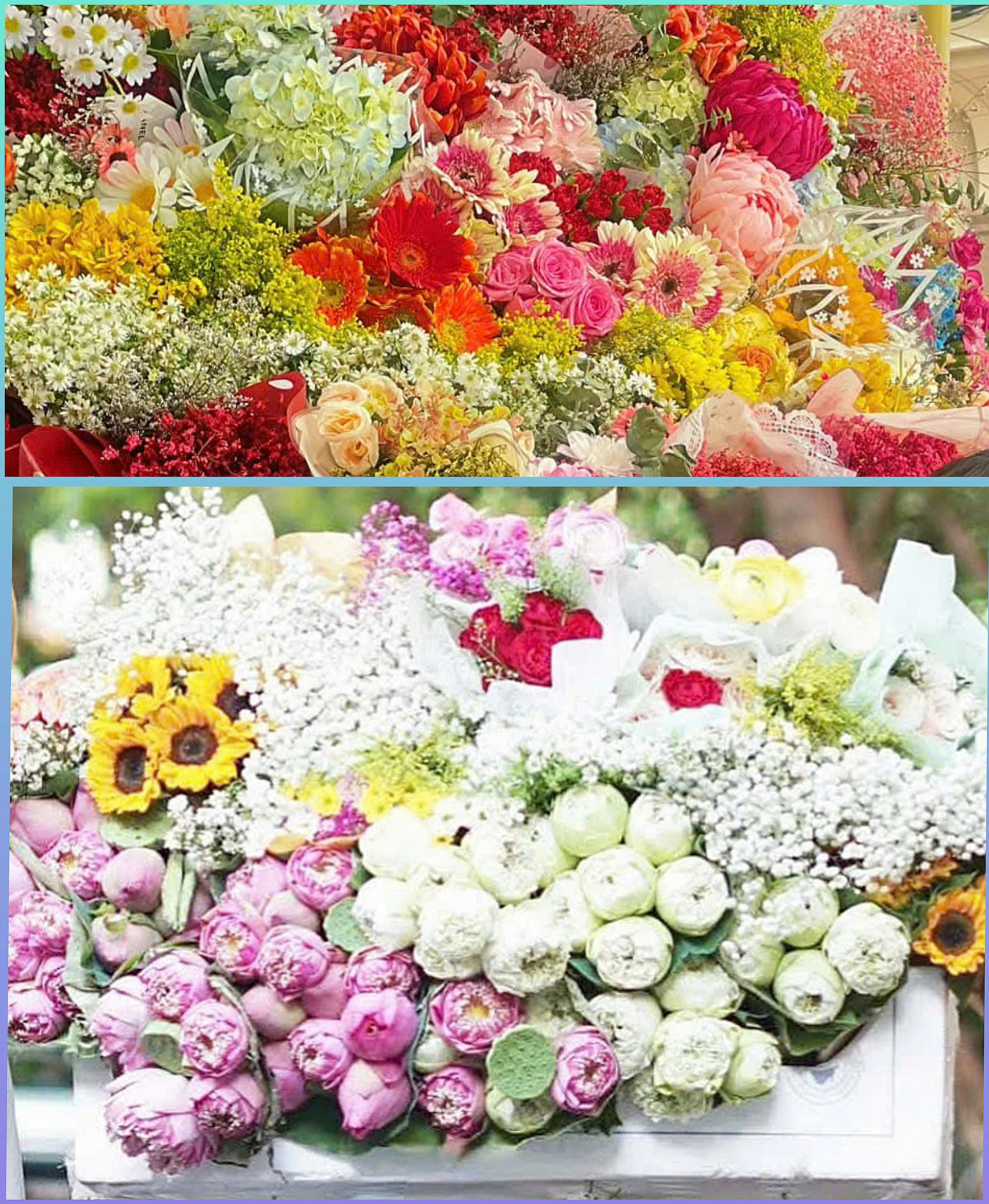 Nhớ mùa thu Hà Nội
