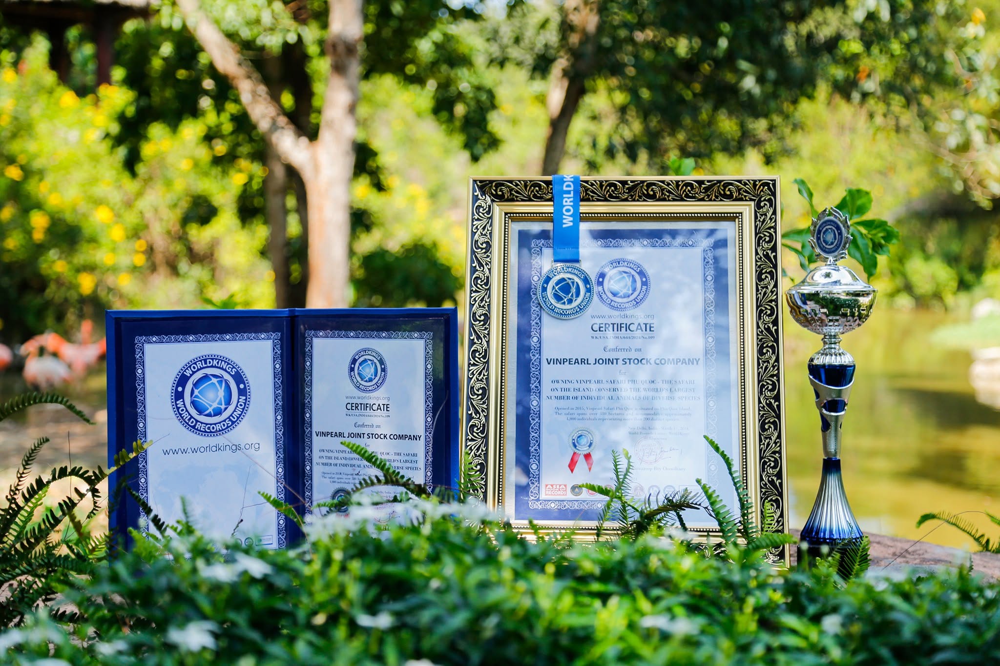 Nắm giữ 'kỷ lục kép' thế giới - Vinpearl Safari Phú Quốc 'khủng' cỡ nào?