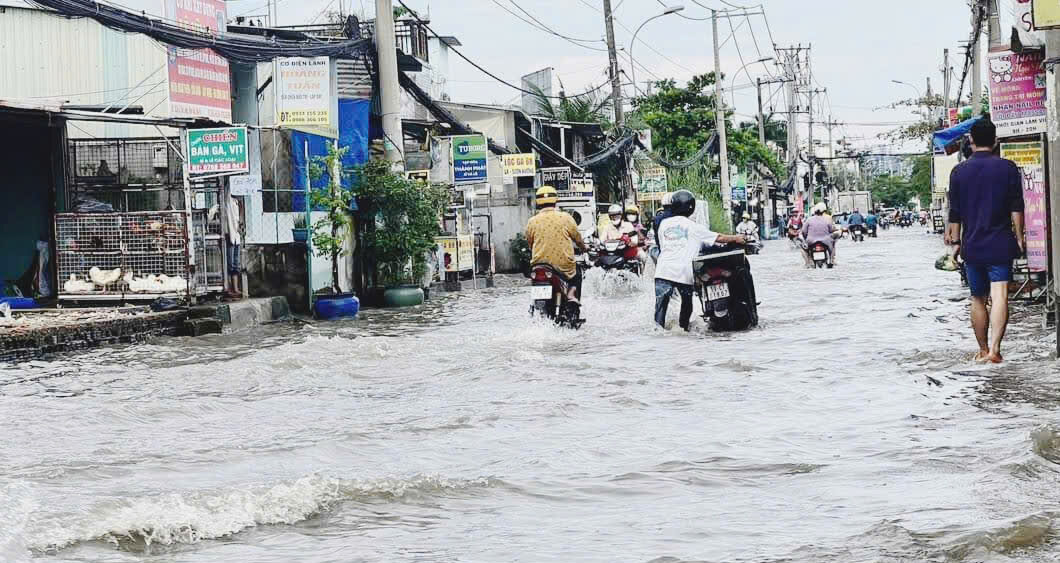 Những ‘kỹ năng sinh tồn’ dành cho người đi đường mùa ngập