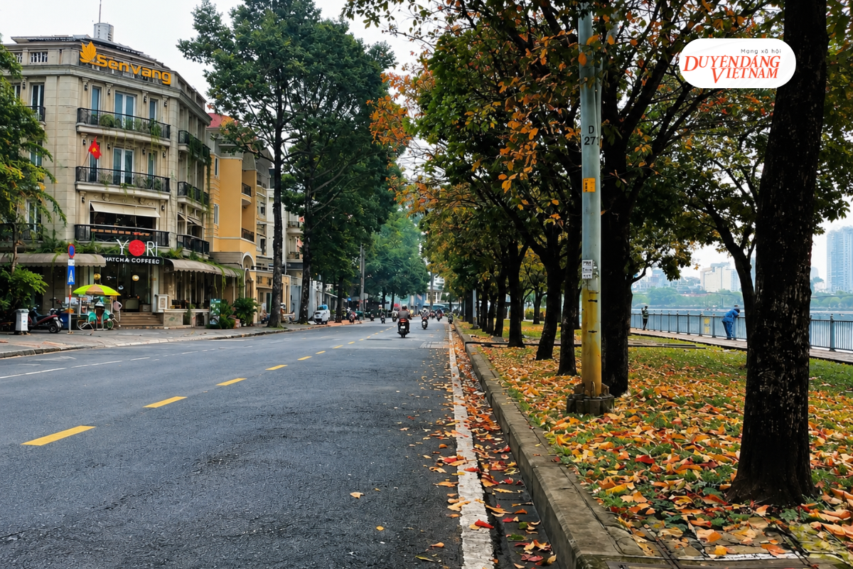 Ai bảo Sài Gòn không có mùa thu