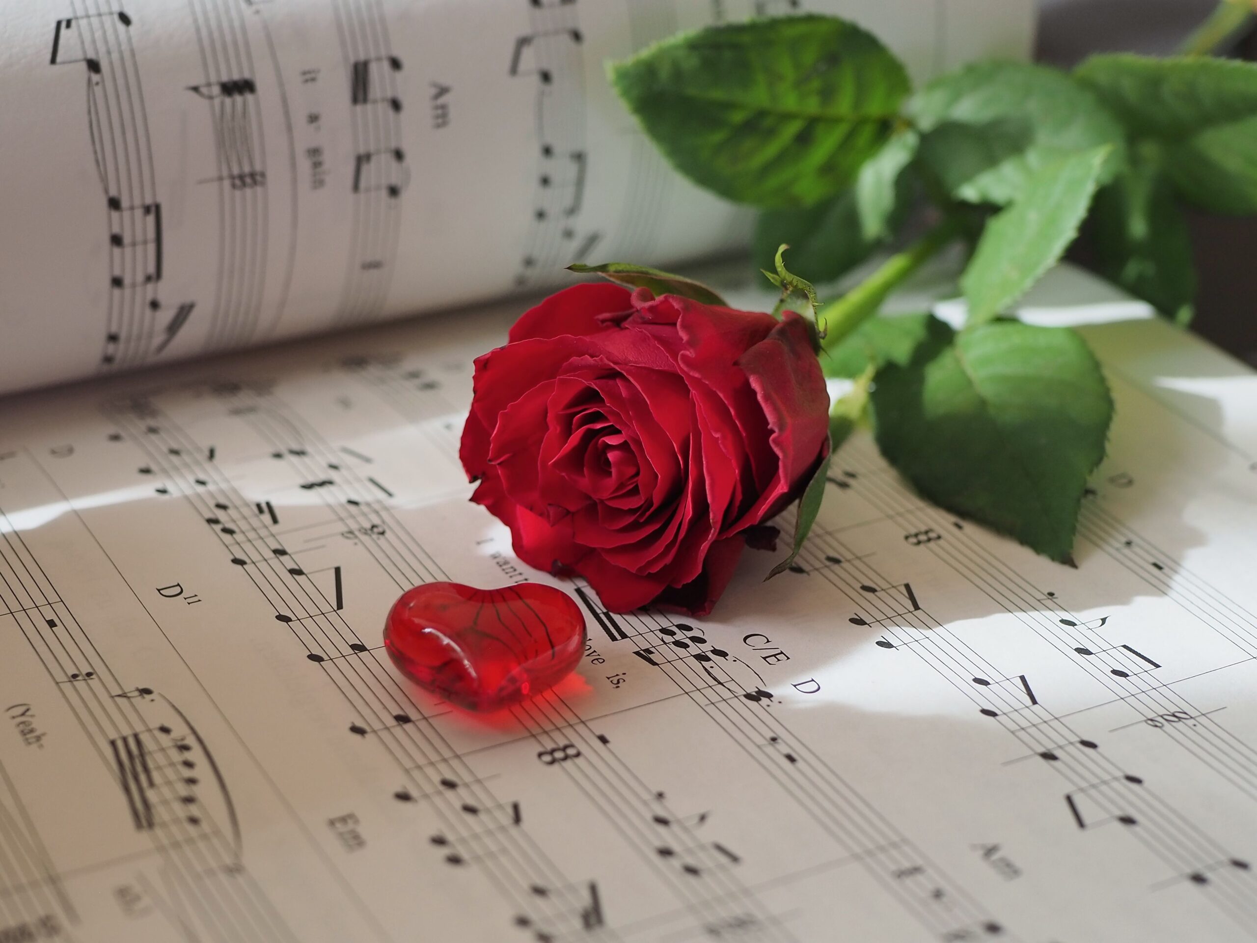 Từ ‘nụ hôn mùa hè’ đến ‘giọt nước mắt mùa đông’