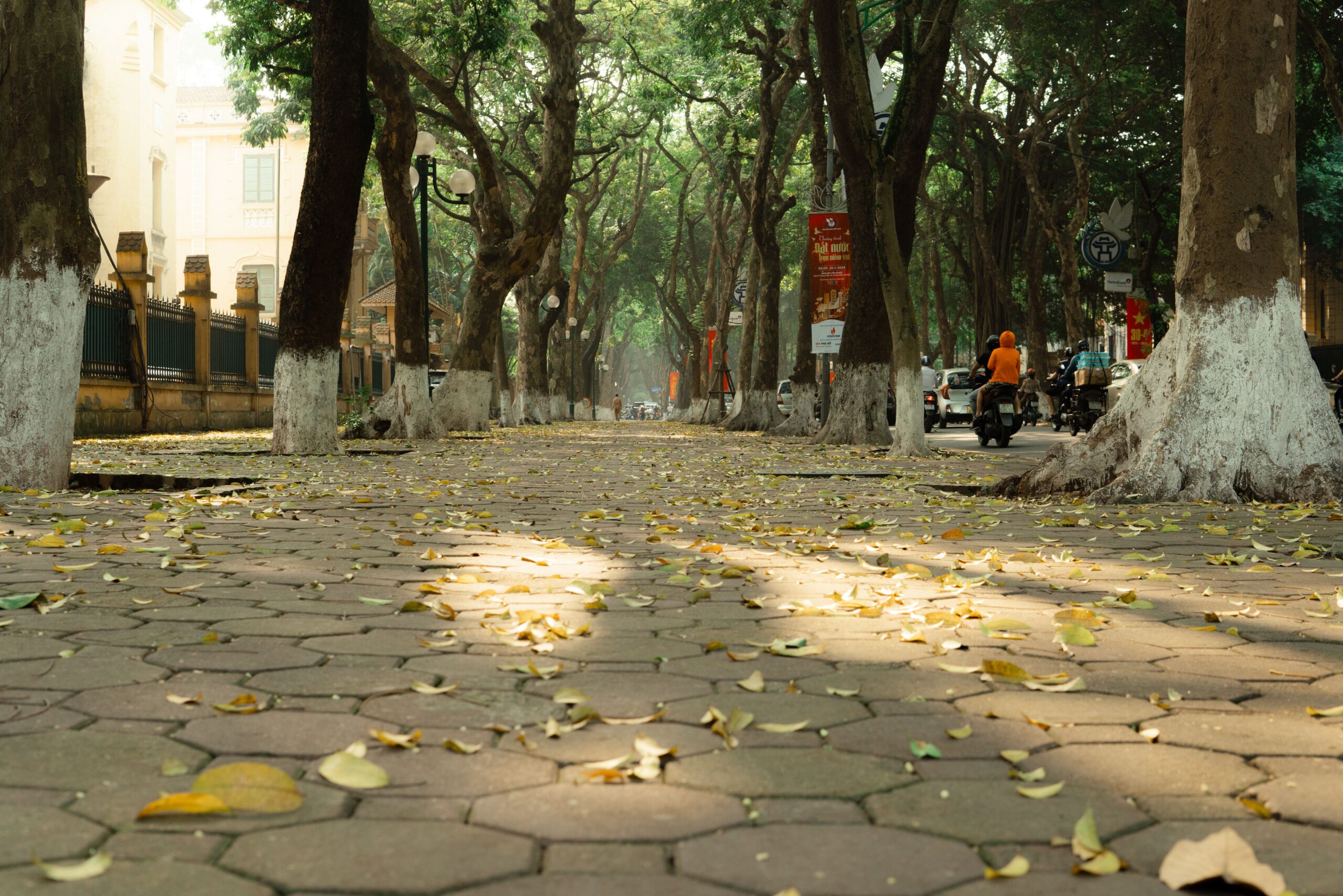 Nhớ mùa thu Hà Nội